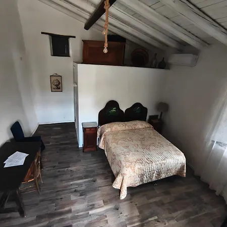 Il Tanaceto-2